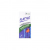 CARBO FLATYLE 10 TABLETS