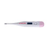Clinical Thermometer Mercury