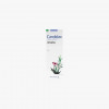Candidax Vaginal Cream 50ml