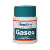 Himalaya Gasex 100 Tablets