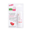 SEBAMED LIP DEFENSE SPF30 WATERMELON 4.8G