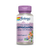 Solaray Ashwagandha 470mg 60 Veg Capsules