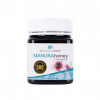 MANUKAMED MANUKA HONEY 500 MGO 250 GM